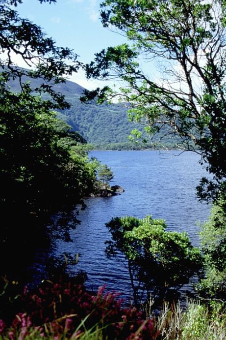 Killarney National Park